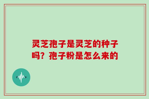 灵芝孢子是灵芝的种子吗？孢子粉是怎么来的