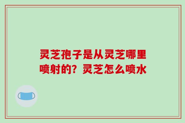 灵芝孢子是从灵芝哪里喷射的？灵芝怎么喷水