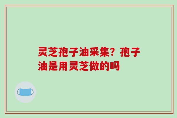 灵芝孢子油采集？孢子油是用灵芝做的吗