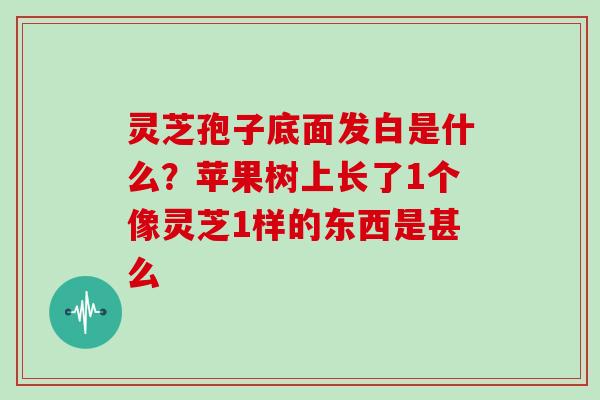 灵芝孢子底面发白是什么？苹果树上长了1个像灵芝1样的东西是甚么