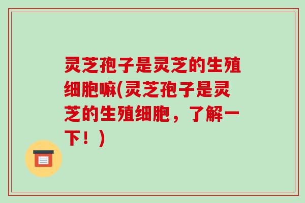 灵芝孢子是灵芝的生殖细胞嘛(灵芝孢子是灵芝的生殖细胞，了解一下！)
