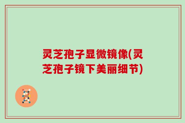 灵芝孢子显微镜像(灵芝孢子镜下美丽细节)