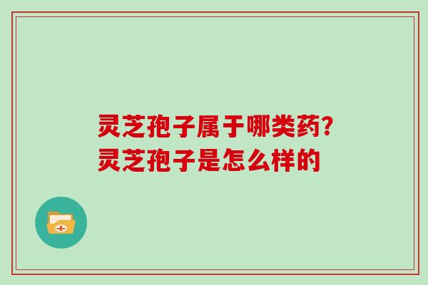 灵芝孢子属于哪类药？灵芝孢子是怎么样的