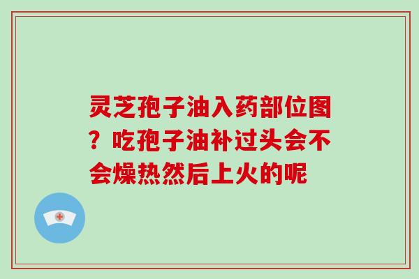 灵芝孢子油入药部位图？吃孢子油补过头会不会燥热然后上火的呢