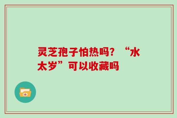 灵芝孢子怕热吗？“水太岁”可以收藏吗