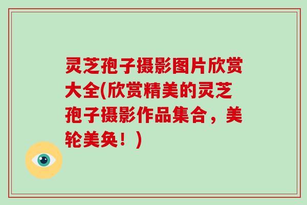 灵芝孢子摄影图片欣赏大全(欣赏精美的灵芝孢子摄影作品集合，美轮美奂！)