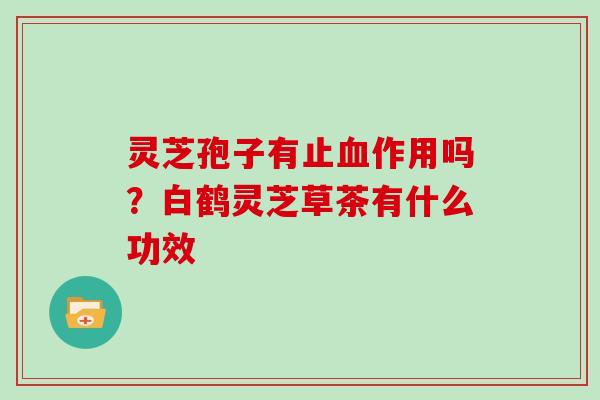 灵芝孢子有止作用吗？白鹤灵芝草茶有什么功效
