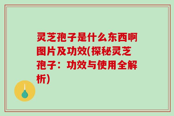 灵芝孢子是什么东西啊图片及功效(探秘灵芝孢子：功效与使用全解析)