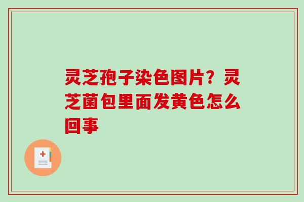 灵芝孢子染色图片？灵芝菌包里面发黄色怎么回事