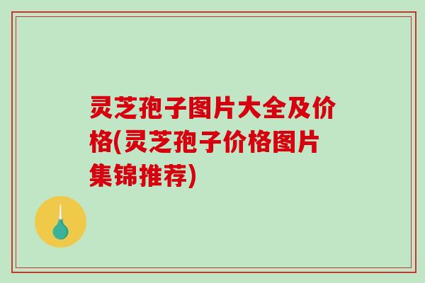 灵芝孢子图片大全及价格(灵芝孢子价格图片集锦推荐)