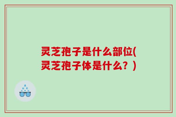 灵芝孢子是什么部位(灵芝孢子体是什么？)