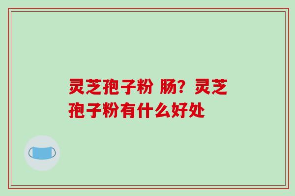 灵芝孢子粉 肠？灵芝孢子粉有什么好处