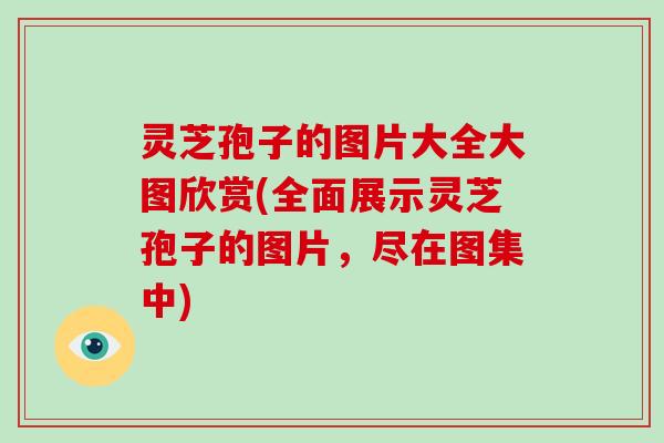 灵芝孢子的图片大全大图欣赏(全面展示灵芝孢子的图片，尽在图集中)