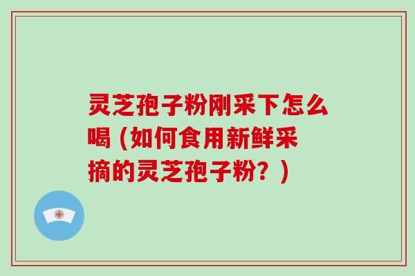 灵芝孢子粉刚采下怎么喝 (如何食用新鲜采摘的灵芝孢子粉？)