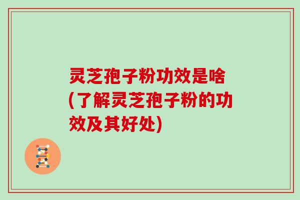 灵芝孢子粉功效是啥 (了解灵芝孢子粉的功效及其好处)