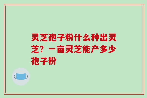 灵芝孢子粉什么种出灵芝？一亩灵芝能产多少孢子粉