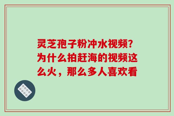 灵芝孢子粉冲水视频？为什么拍赶海的视频这么火，那么多人喜欢看