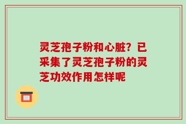 灵芝孢子粉和？已采集了灵芝孢子粉的灵芝功效作用怎样呢
