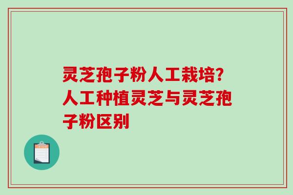 灵芝孢子粉人工栽培？人工种植灵芝与灵芝孢子粉区别
