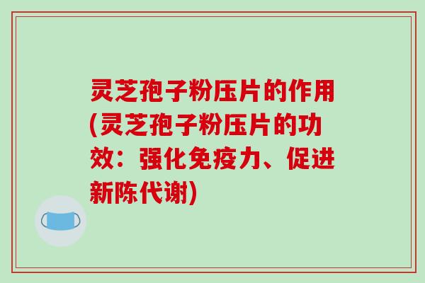灵芝孢子粉压片的作用(灵芝孢子粉压片的功效：强化免疫力、促进)