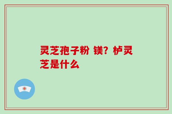 灵芝孢子粉 镁？栌灵芝是什么