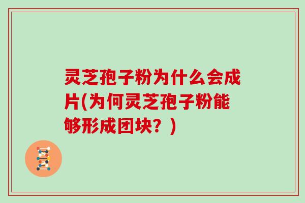 灵芝孢子粉为什么会成片(为何灵芝孢子粉能够形成团块？)