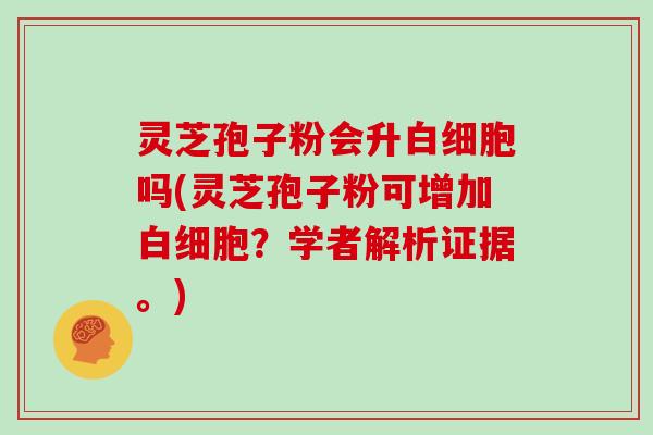 灵芝孢子粉会升吗(灵芝孢子粉可增加？学者解析证据。)