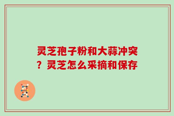 灵芝孢子粉和大蒜冲突？灵芝怎么采摘和保存