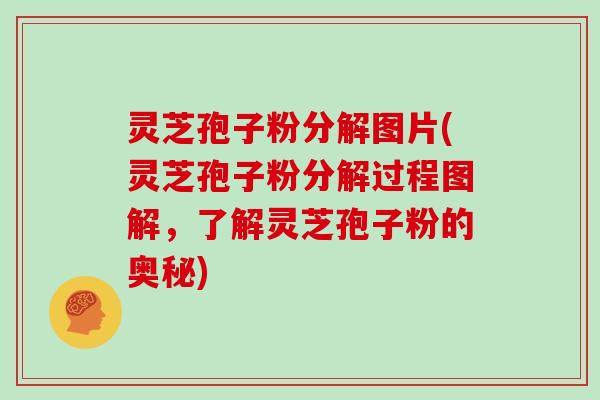 灵芝孢子粉分解图片(灵芝孢子粉分解过程图解，了解灵芝孢子粉的奥秘)