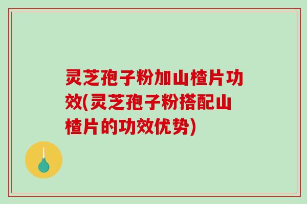 灵芝孢子粉加山楂片功效(灵芝孢子粉搭配山楂片的功效优势)