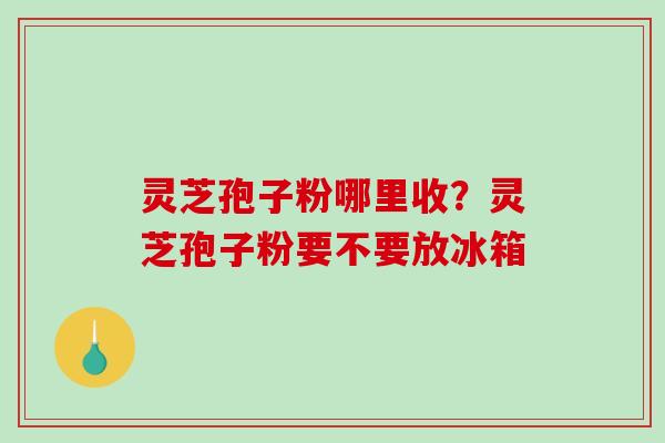 灵芝孢子粉哪里收？灵芝孢子粉要不要放冰箱