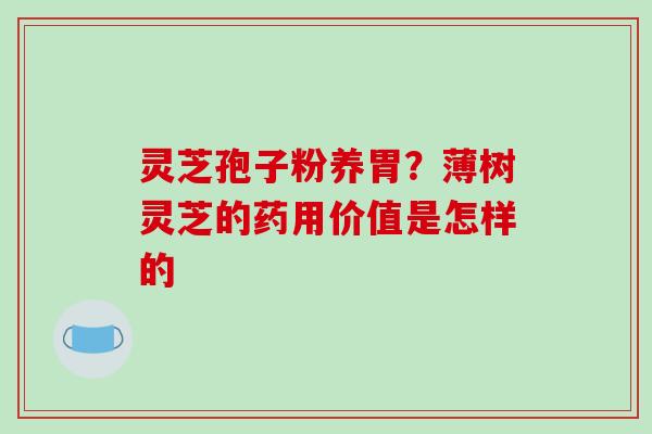 灵芝孢子粉养胃?薄树灵芝的药用价值是怎样的 灵芝孢子粉养胃?薄树灵芝的药用价值是怎样的