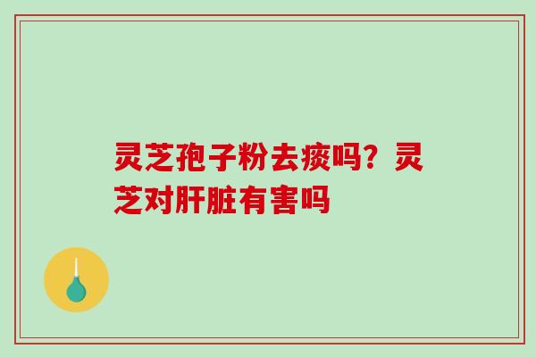 灵芝孢子粉去痰吗？灵芝对有害吗