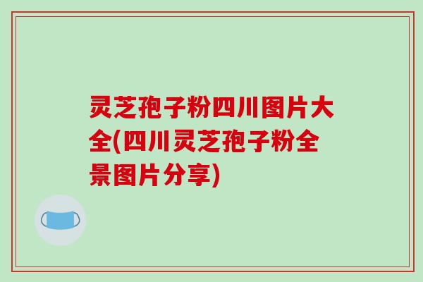 灵芝孢子粉四川图片大全(四川灵芝孢子粉全景图片分享)