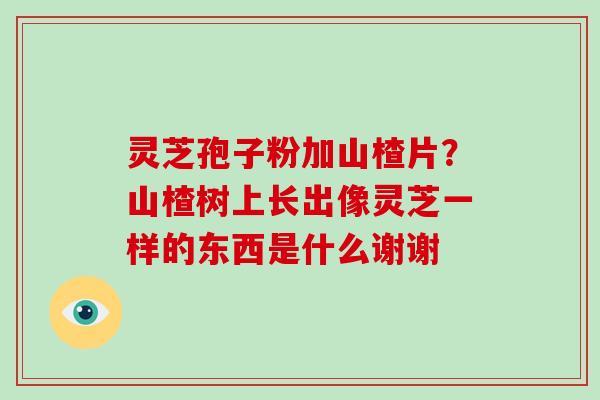 灵芝孢子粉加山楂片？山楂树上长出像灵芝一样的东西是什么谢谢
