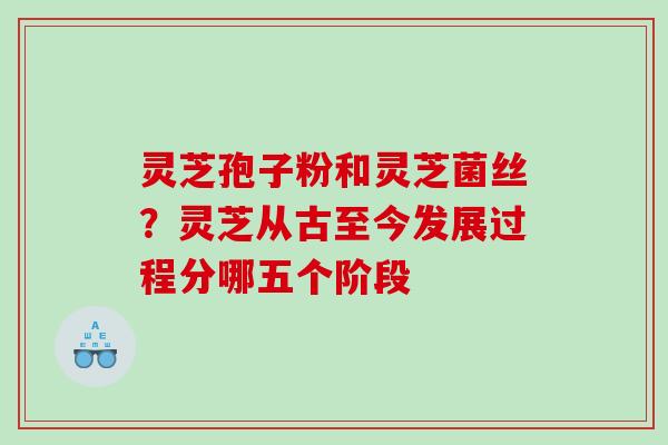 灵芝孢子粉和灵芝菌丝？灵芝从古至今发展过程分哪五个阶段