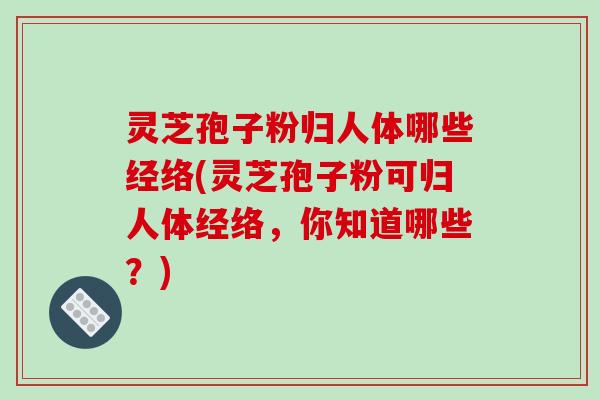 灵芝孢子粉归人体哪些经络(灵芝孢子粉可归人体经络，你知道哪些？)