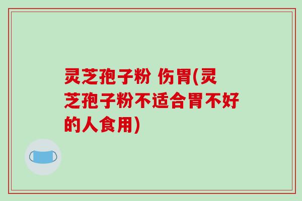 灵芝孢子粉 伤胃(灵芝孢子粉不适合胃不好的人食用)