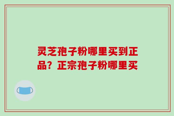 灵芝孢子粉哪里买到正品？正宗孢子粉哪里买