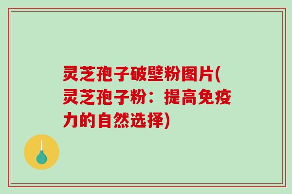 灵芝孢子破壁粉图片(灵芝孢子粉:提高免疫力的自然选择) 灵芝孢子破壁粉图片(灵芝孢子粉:提高免疫力的自然选择)