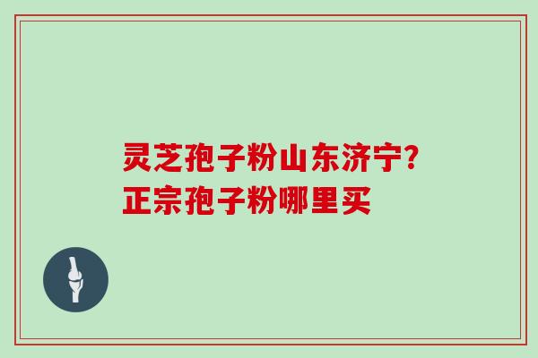 灵芝孢子粉山东济宁?正宗孢子粉哪里买 灵芝孢子粉山东济宁?正宗孢子粉哪里买