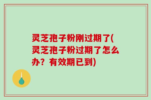 灵芝孢子粉刚过期了(灵芝孢子粉过期了怎么办?有效期已到) 灵芝孢子粉刚过期了(灵芝孢子粉过期了怎么办?有效期已到)