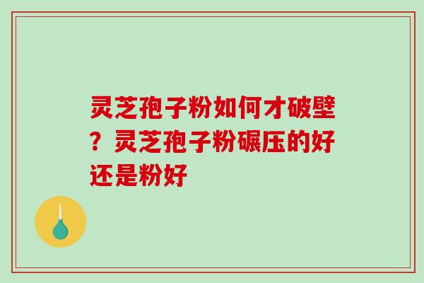 灵芝孢子粉如何才破壁？灵芝孢子粉碾压的好还是粉好