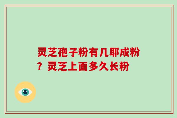 灵芝孢子粉有几耶成粉？灵芝上面多久长粉