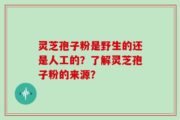灵芝孢子粉是野生的还是人工的？了解灵芝孢子粉的来源？
