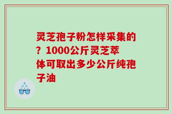 灵芝孢子粉怎样采集的?1000公斤灵芝萃体可取出多少公斤纯孢子油 灵芝孢子粉怎样采集的?1000公斤灵芝萃体可取出多少公斤纯孢子油