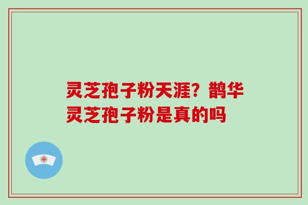 灵芝孢子粉天涯?鹊华灵芝孢子粉是真的吗 灵芝孢子粉天涯?鹊华灵芝孢子粉是真的吗