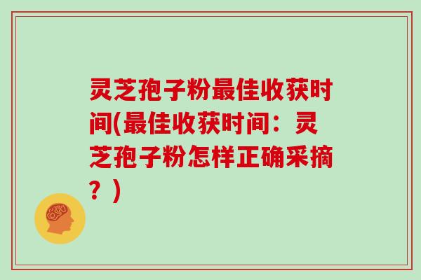 灵芝孢子粉佳收获时间(佳收获时间:灵芝孢子粉怎样正确采摘?) 灵芝孢子粉佳收获时间(佳收获时间:灵芝孢子粉怎样正确采摘?)