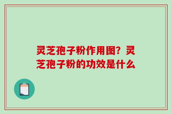 灵芝孢子粉作用图?灵芝孢子粉的功效是什么 灵芝孢子粉作用图?灵芝孢子粉的功效是什么