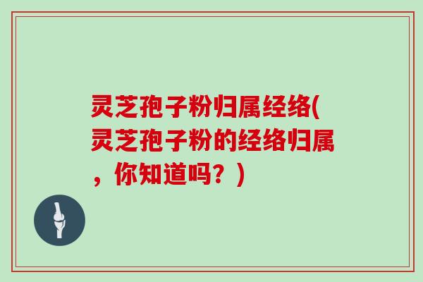灵芝孢子粉归属经络(灵芝孢子粉的经络归属，你知道吗？)